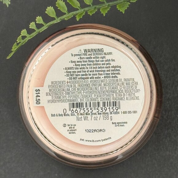 BBW Pure Wonder Bath & Body Works Mason Jar Single Wick Candle - Picture 10 of 10